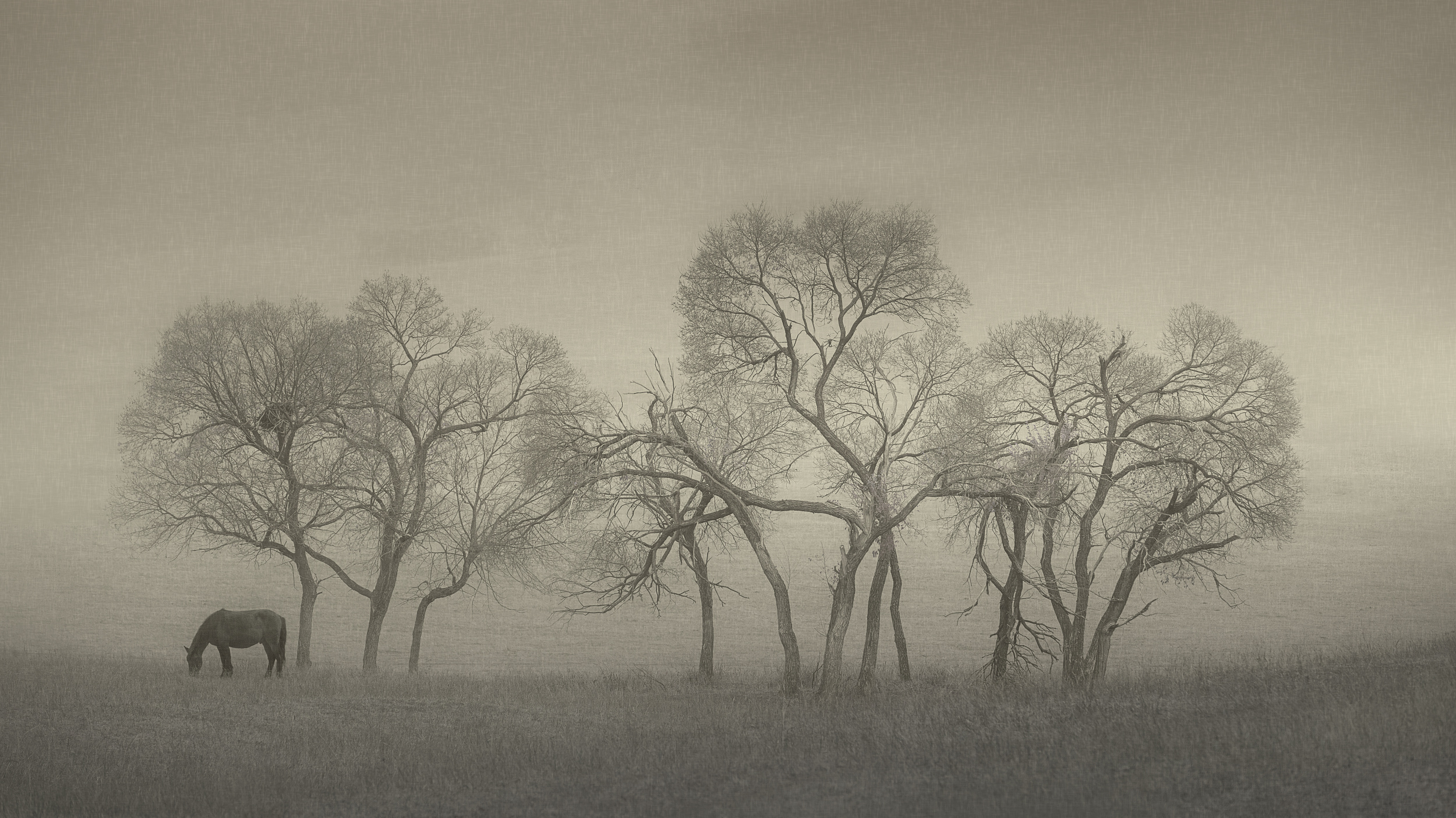 Where the Heart Belongs