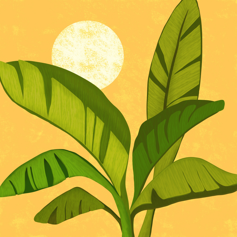 Sunny Golden Tropics by Kristian Gallagher — canvas wall art