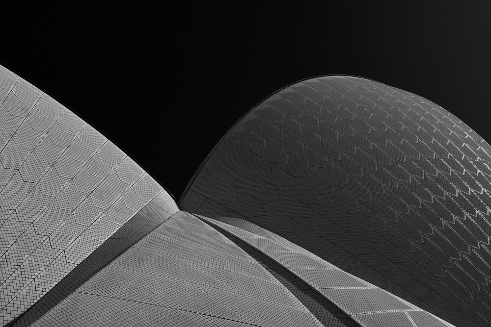 Opera House Shells by Matej Krajnc — canvas wall art