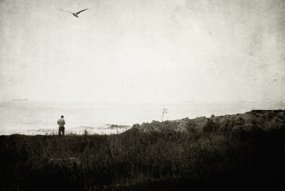 If these wings could fly by Milena Seita — canvas wall art
