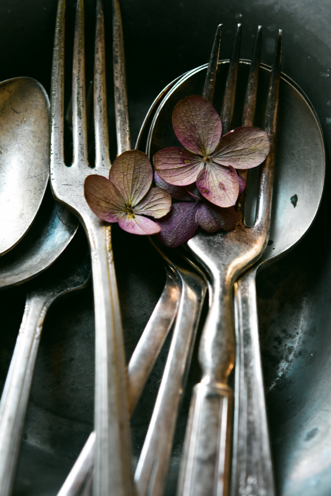 Moody Silverware and Petals by Olivia Joy StClaire — canvas wall art