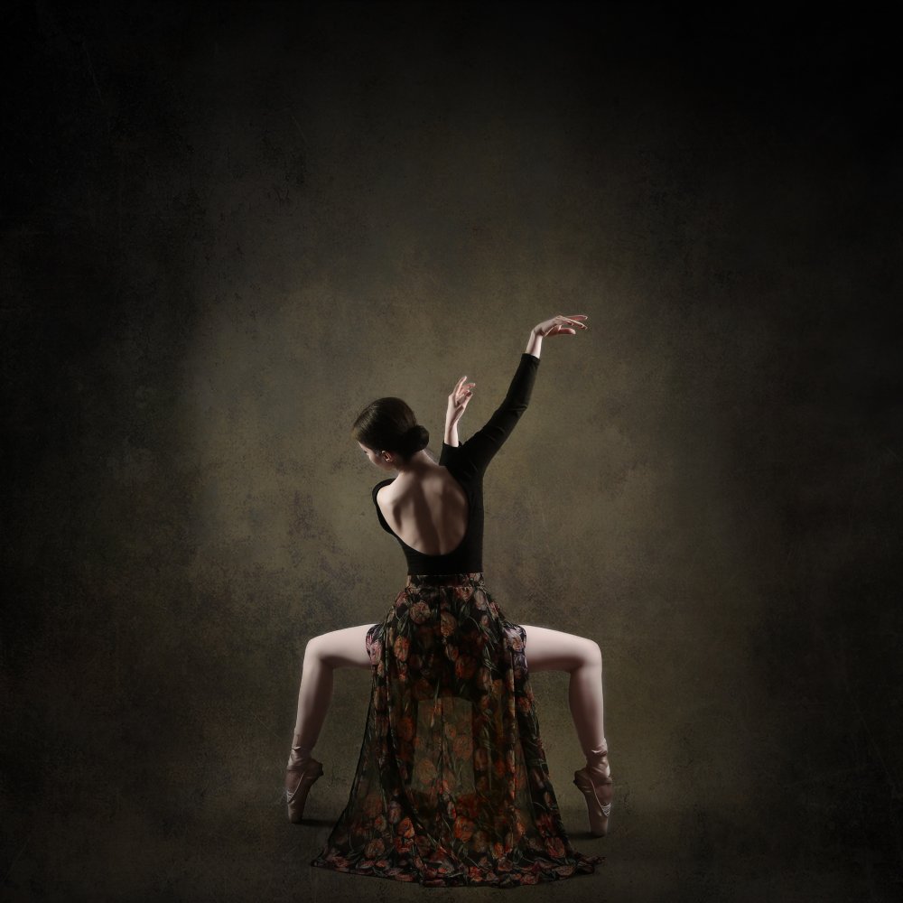 Graceful Ballet Pose by Moein Hasheminasab — canvas wall art