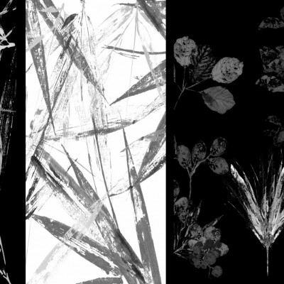 Midnight Bamboo Shadows