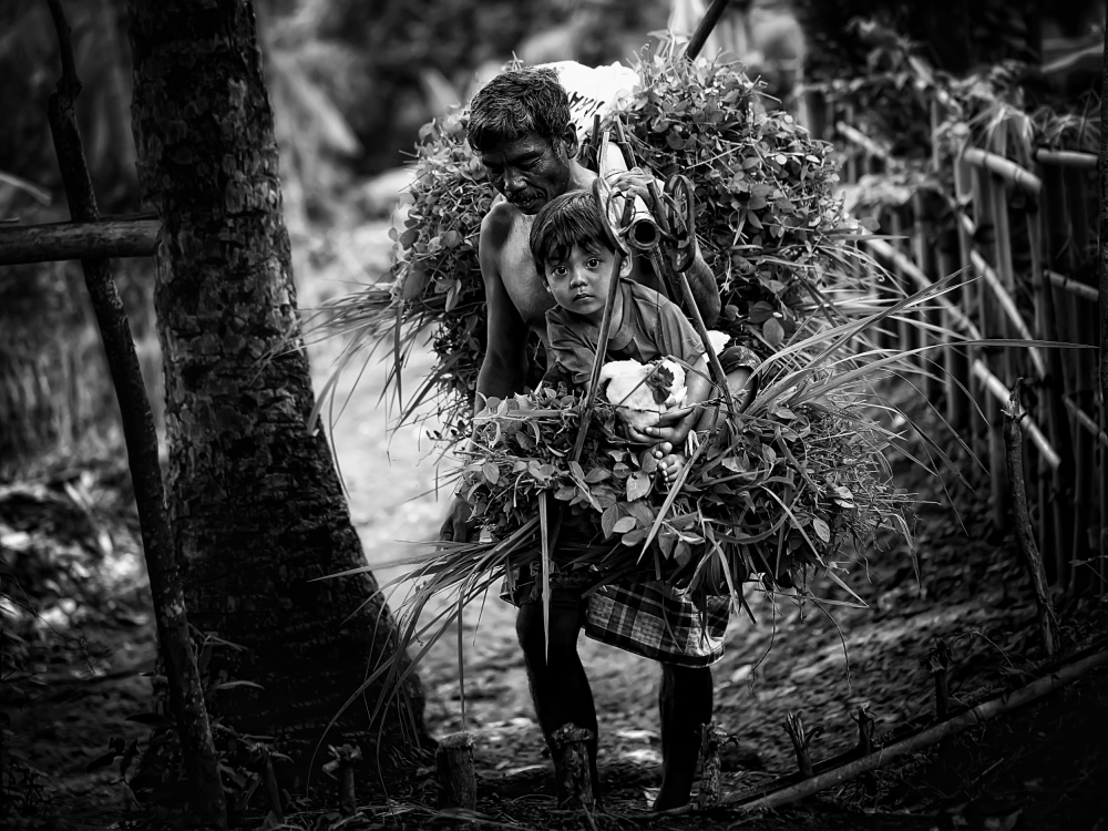 Rural Life Burden by Adhi Prayoga — canvas wall art
