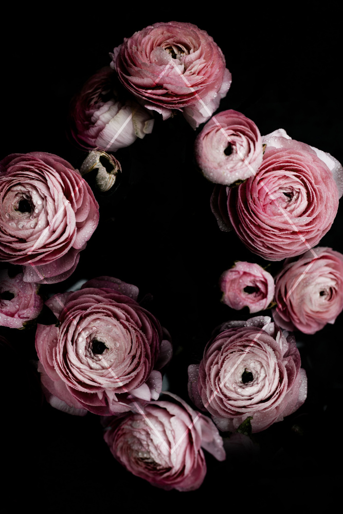Blooming Geometry 1 by Mareike Böhmer — canvas wall art