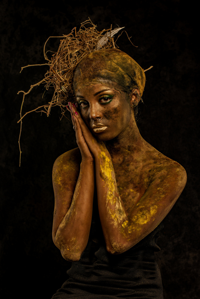 Golden Nest Portrait by DEBASISH CHATTOPADHYAY — canvas wall art