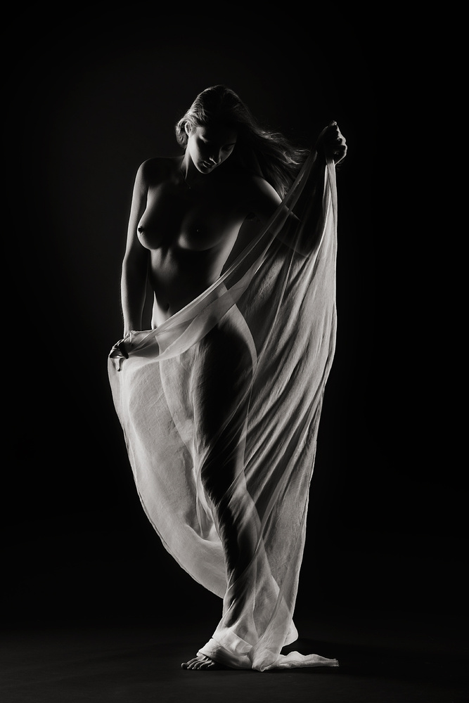 Graceful Sheer Silhouette by Shades and Light — canvas wall art