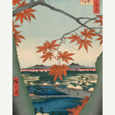 Maple Trees At Mama, Tekona Shrine and Tdugi Bridge