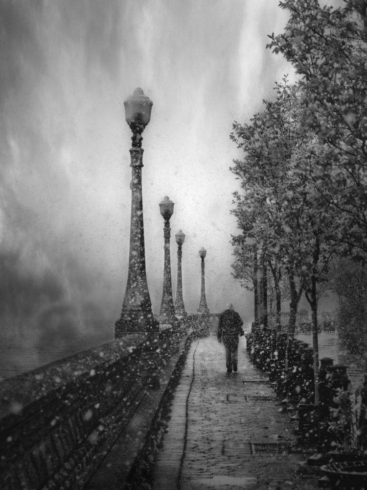 Solitary Winter Walk by David Senechal Photographie (polydactyle) — canvas wall art