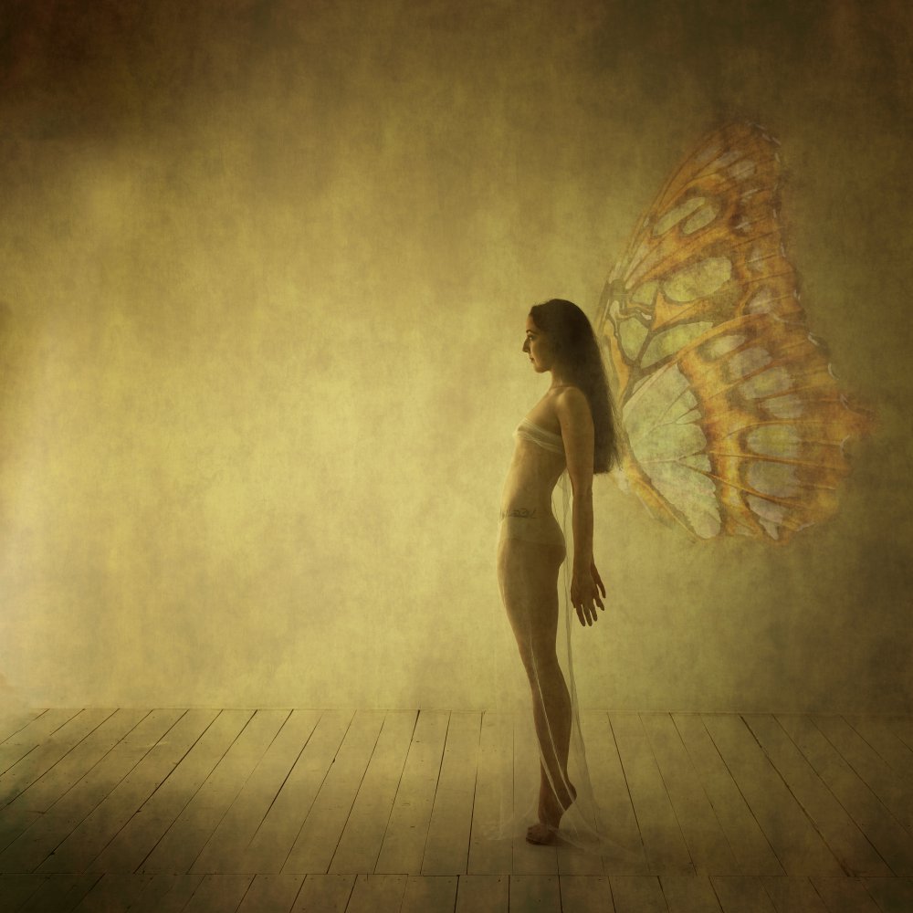 Ethereal Butterfly Woman by Michael Groenewald — canvas wall art