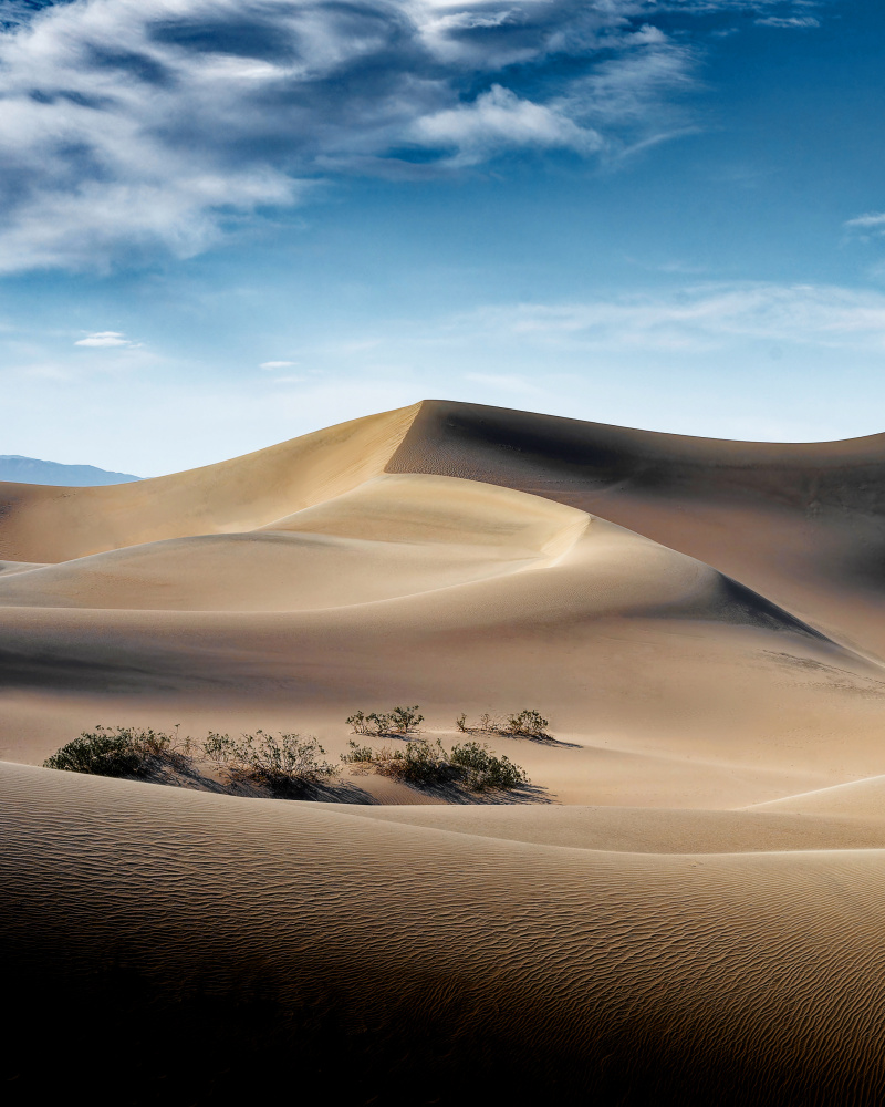 Golden Desert Dunes by Jay Marik — canvas wall art