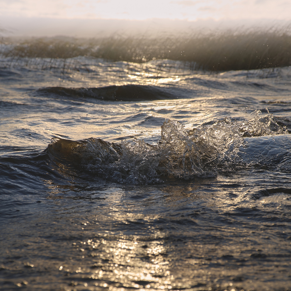 Golden Hour Waves by Hamed Bank — canvas wall art