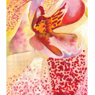 Vibrant Orchid Bloom
