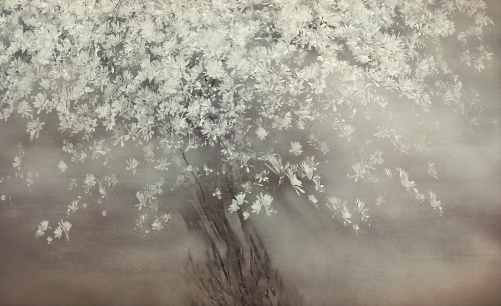 Stars of spring by Nel Talen — canvas wall art