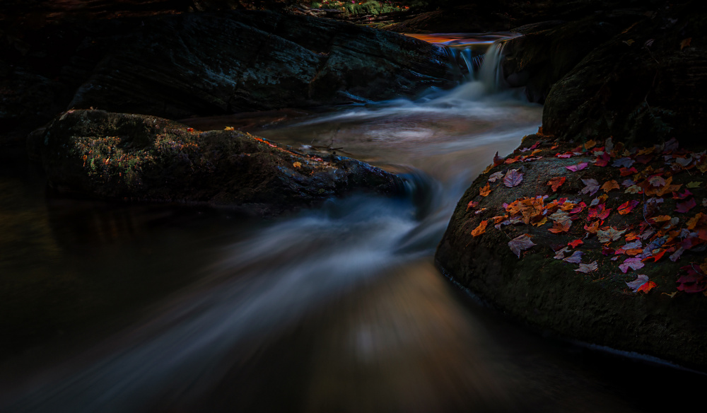 Moody Autumn Stream by Molly Fu APA — canvas wall art
