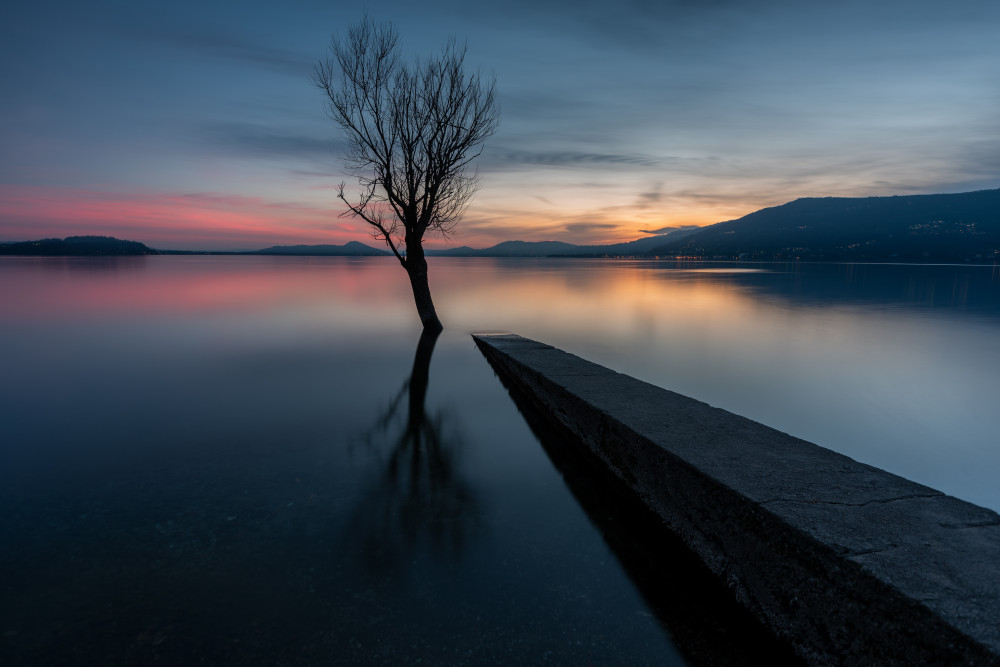 Twilight Tree and Pier by Marco Galimberti — canvas wall art