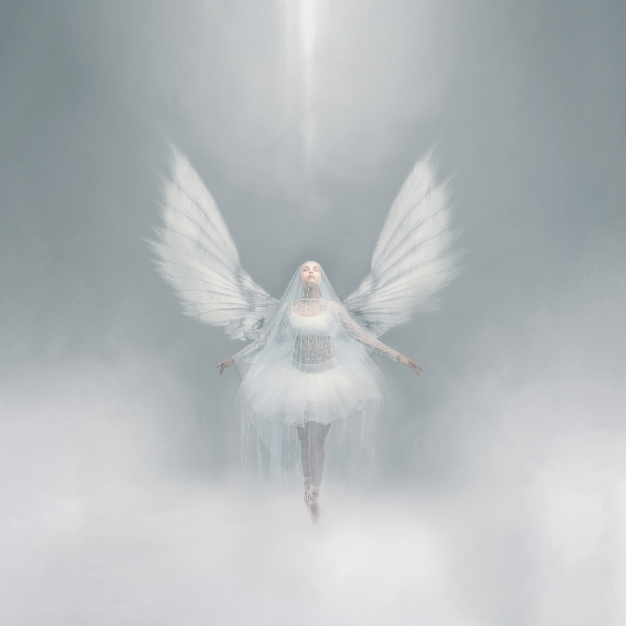 Rise of an Angel by renekuipers
