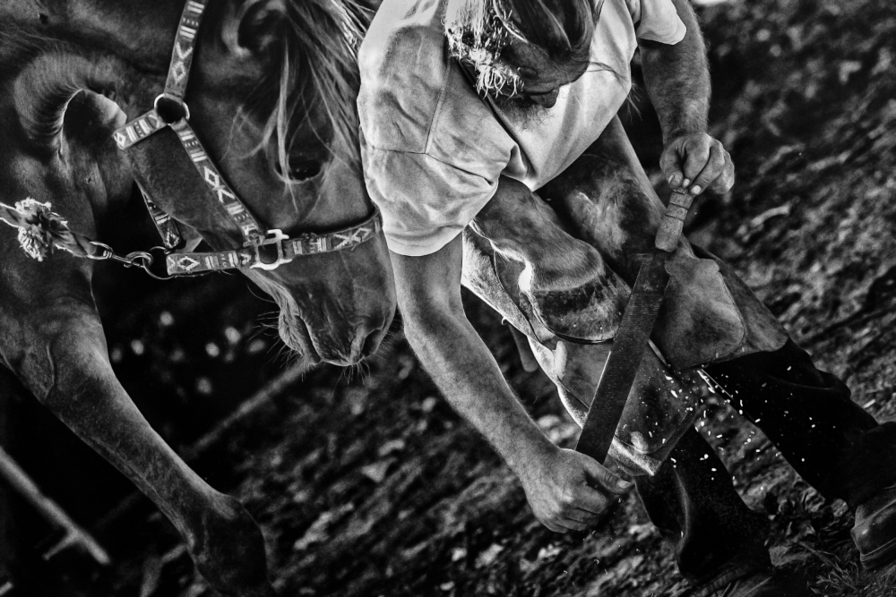 Gritty Farrier At Work by Manu Allicot — canvas wall art