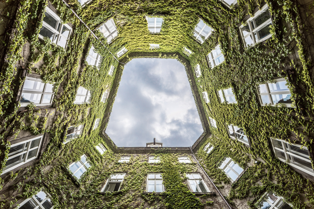 Ivy Covered Courtyard View by Lorenza Cancian — canvas wall art