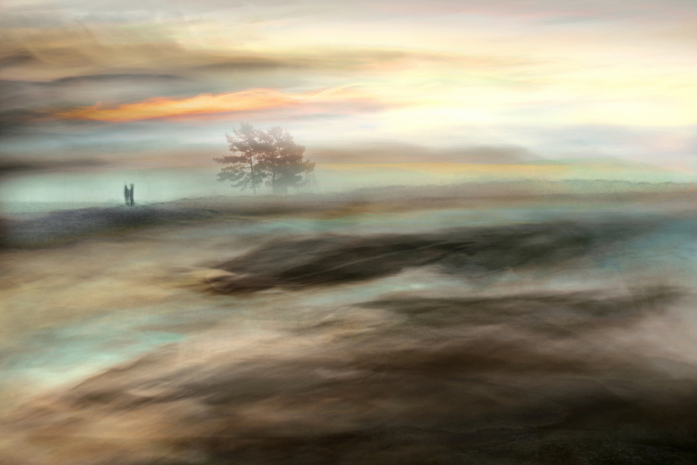 Misty Morning Dream by Christina Sillen — canvas wall art