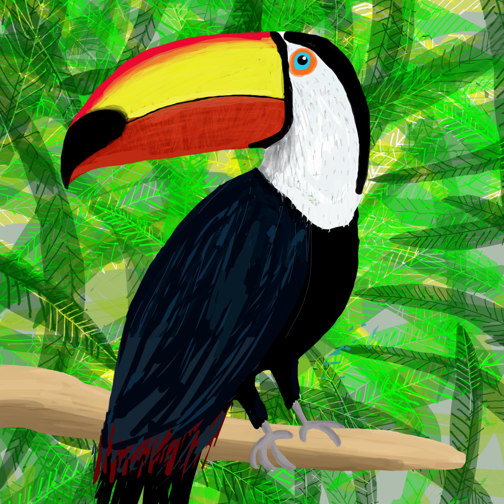 Tropical Toucan On Branch by Carla Daly — canvas wall art