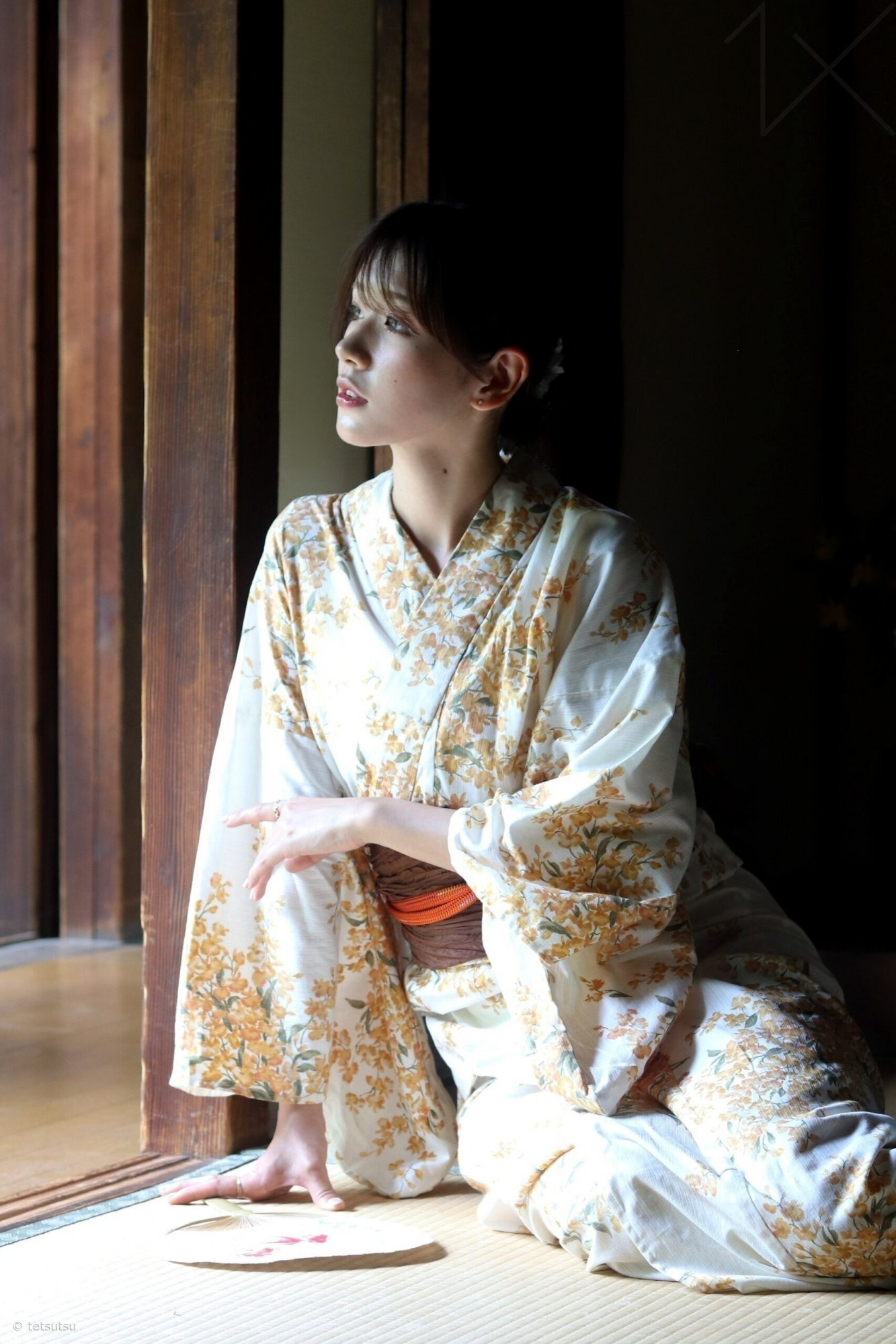 tetsutsu