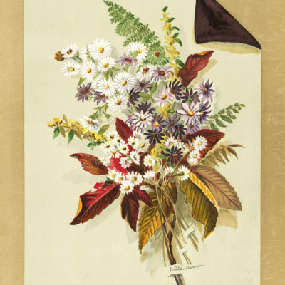 Daisies and Autumn Leaves & Ferns