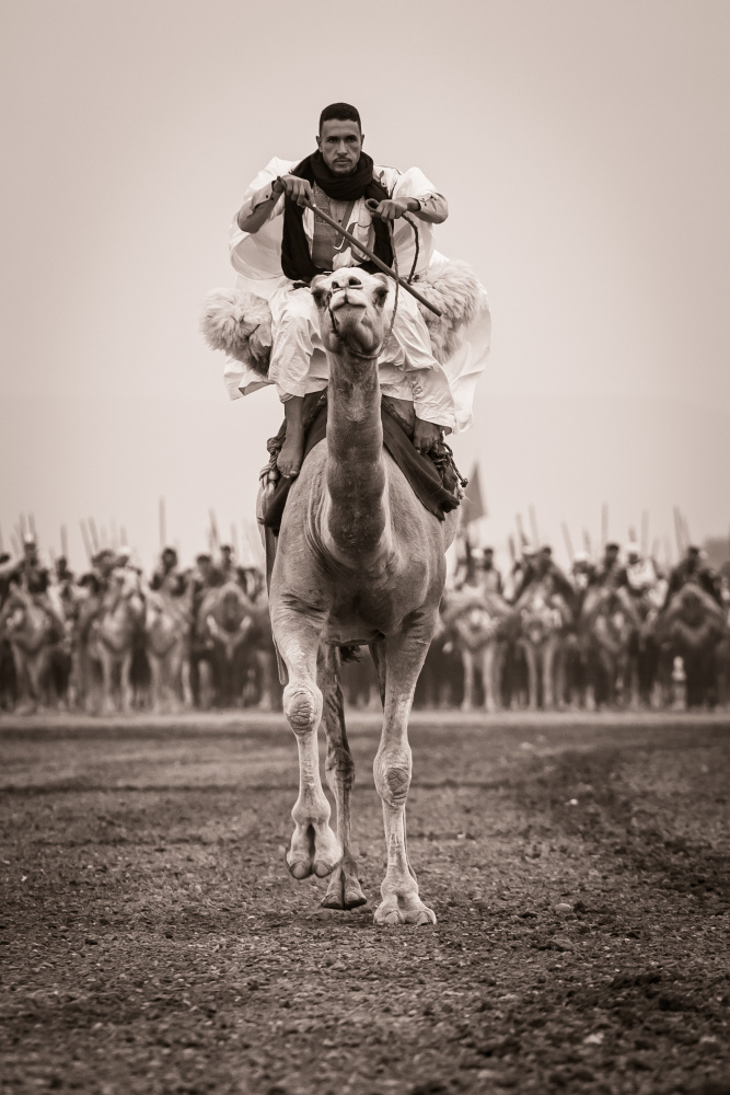 Warrior Camel Rider by ABDERRAHIM ZIGH — canvas wall art
