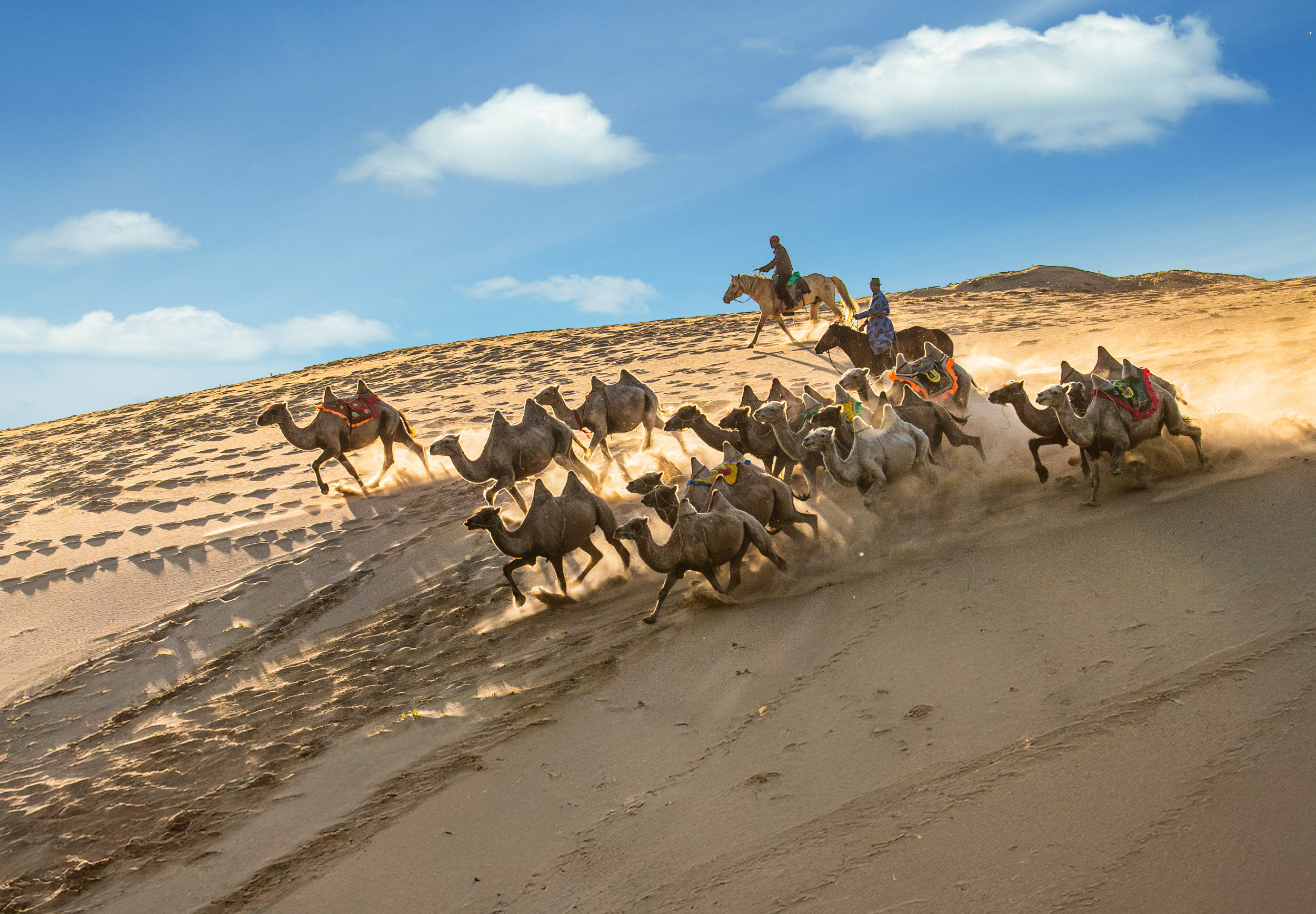 Desert Caravan