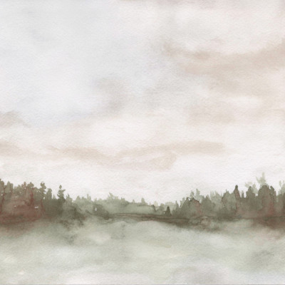 Misty Forest Morning