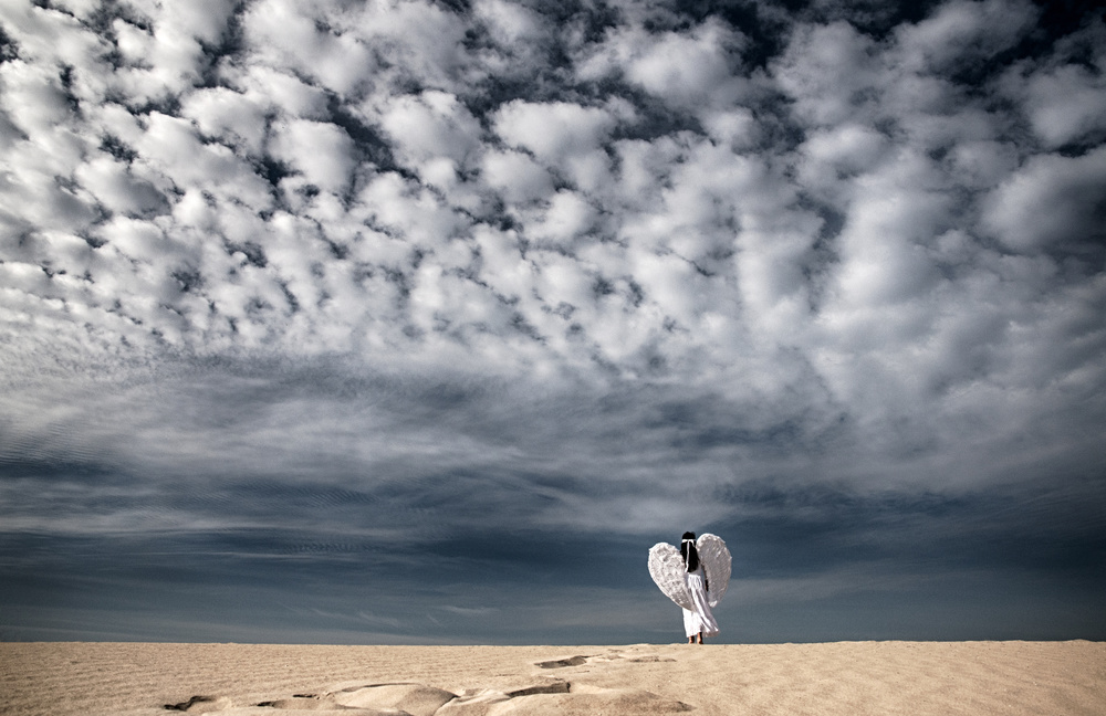 Desert Angel Dream by Miki Meir Levi — canvas wall art