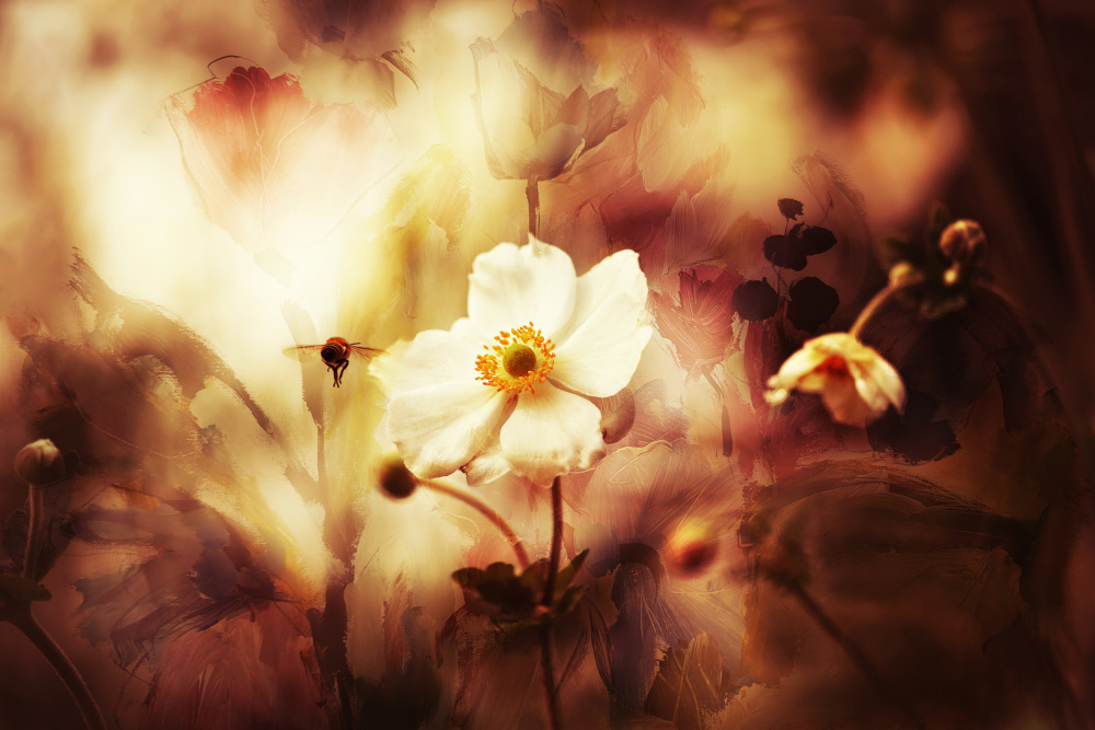 Golden Dreamy Bee Floral by Ellen van Deelen — canvas wall art