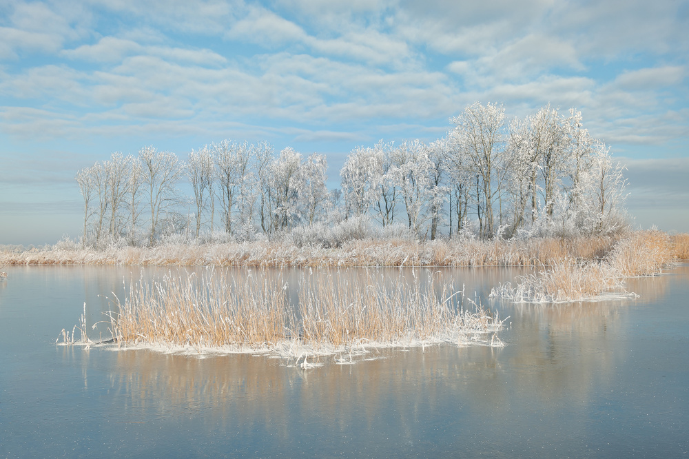 Frosted Winter Lake by Piet Haaksma — canvas wall art