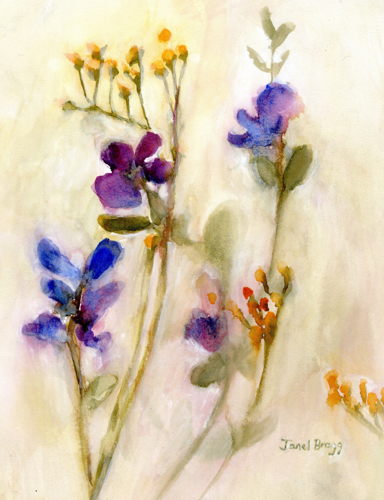 Wildflower Watercolor by Janel Bragg — canvas wall art