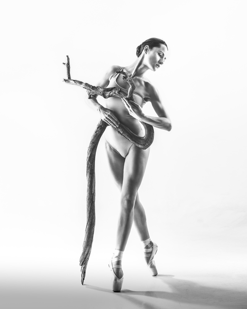 Elegant Ballerina with Branch by Łukasz Kozłowski — canvas wall art