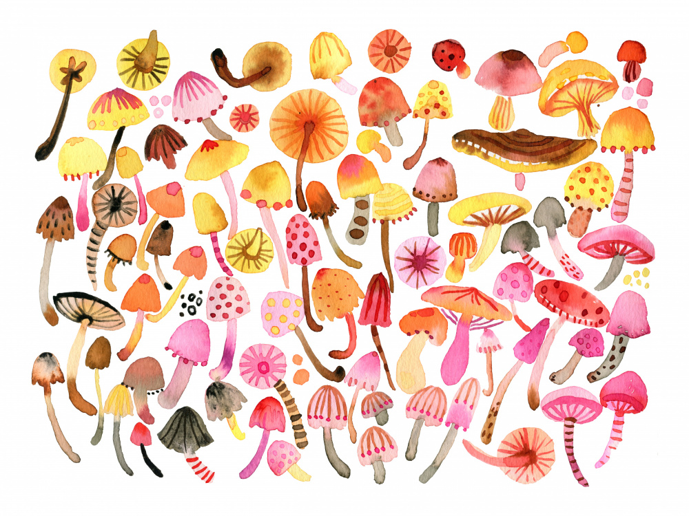 Whimsical Mushroom Collection by Ninola Design — canvas wall art