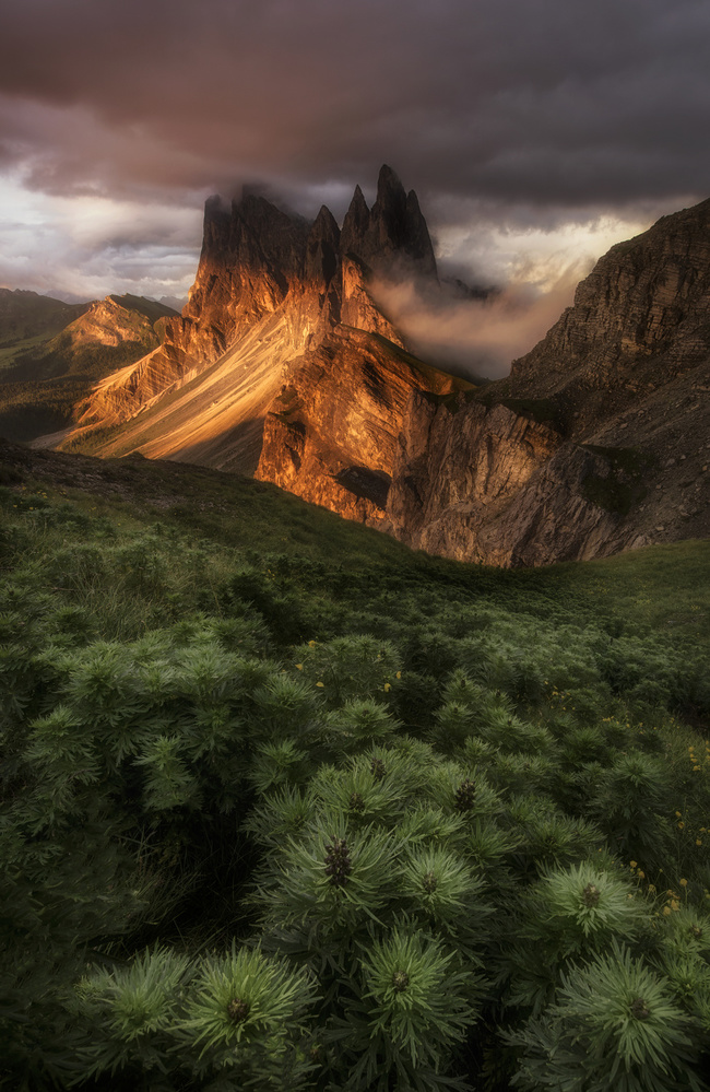 Dramatic Golden Peaks by Stan Huang — canvas wall art