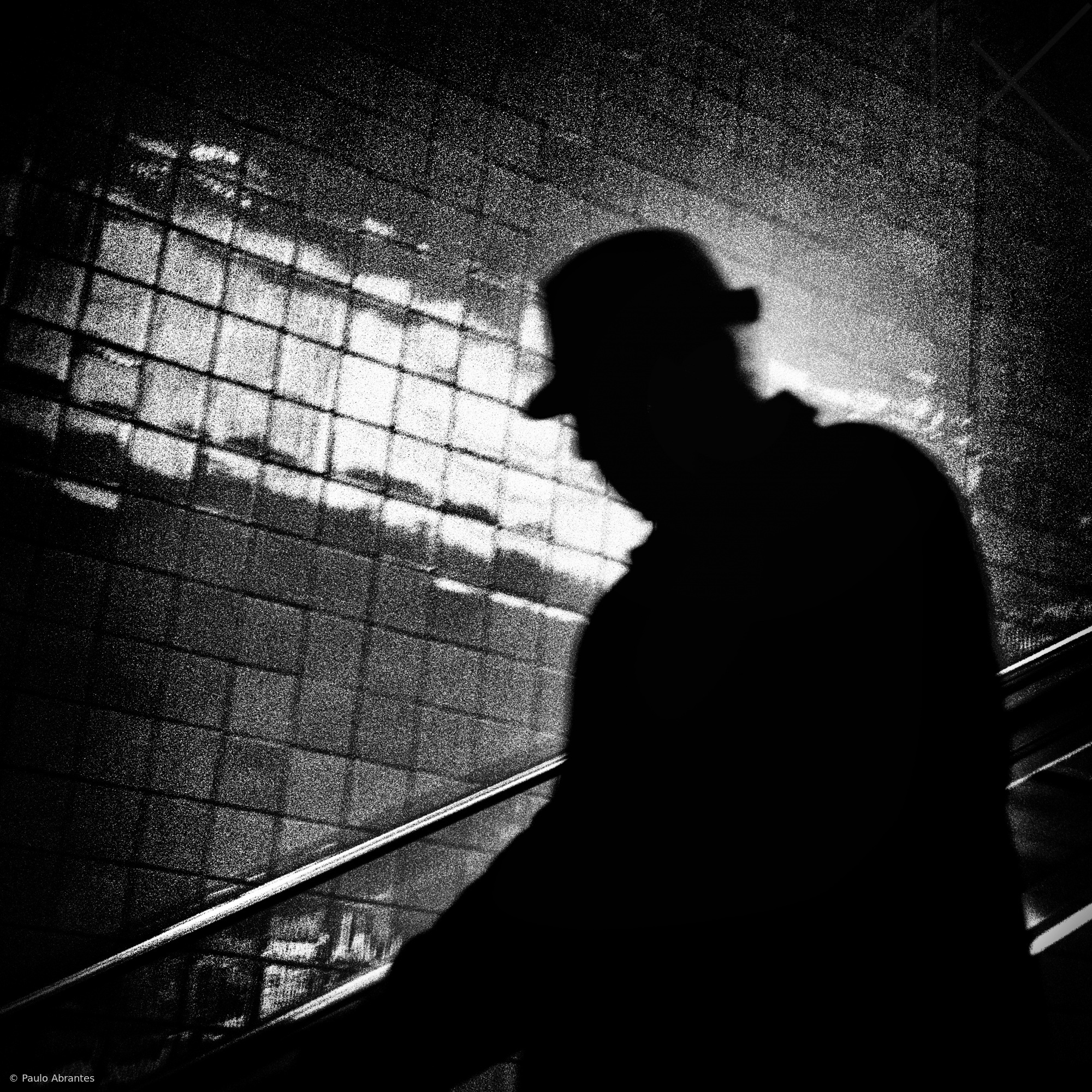 Mr X by Paulo Abrantes