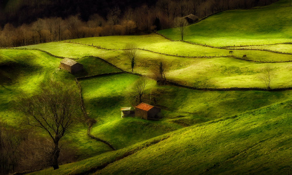 Rolling Green Pastures by Fran Osuna — canvas wall art