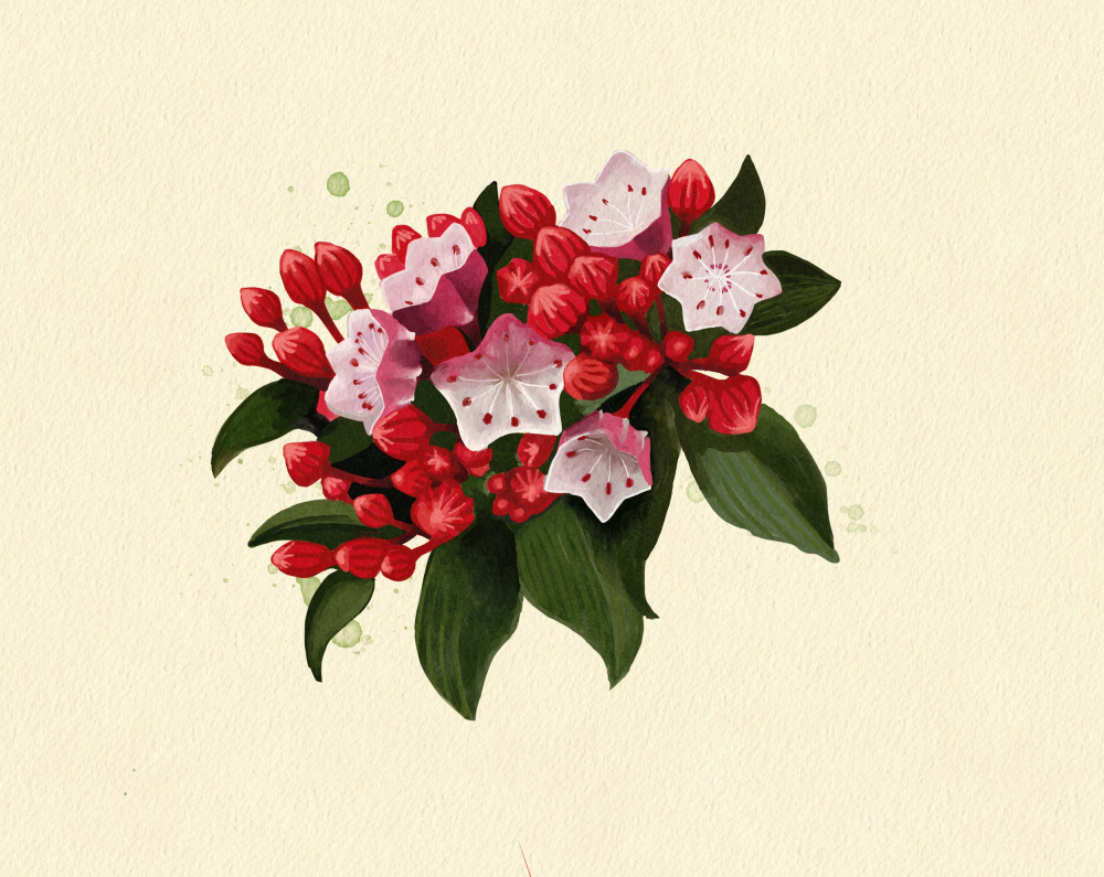 Connecticut  Mountain Laure by Katie O'Shea — canvas wall art