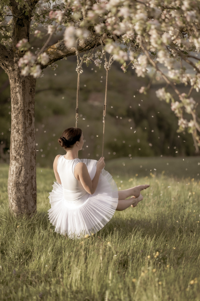 Ballerina on Blossom Swing by James Graf — canvas wall art