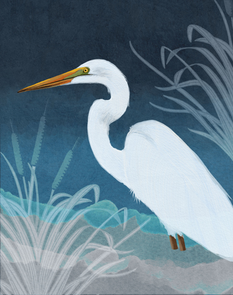 Egret Copy by Katie O'Shea — canvas wall art